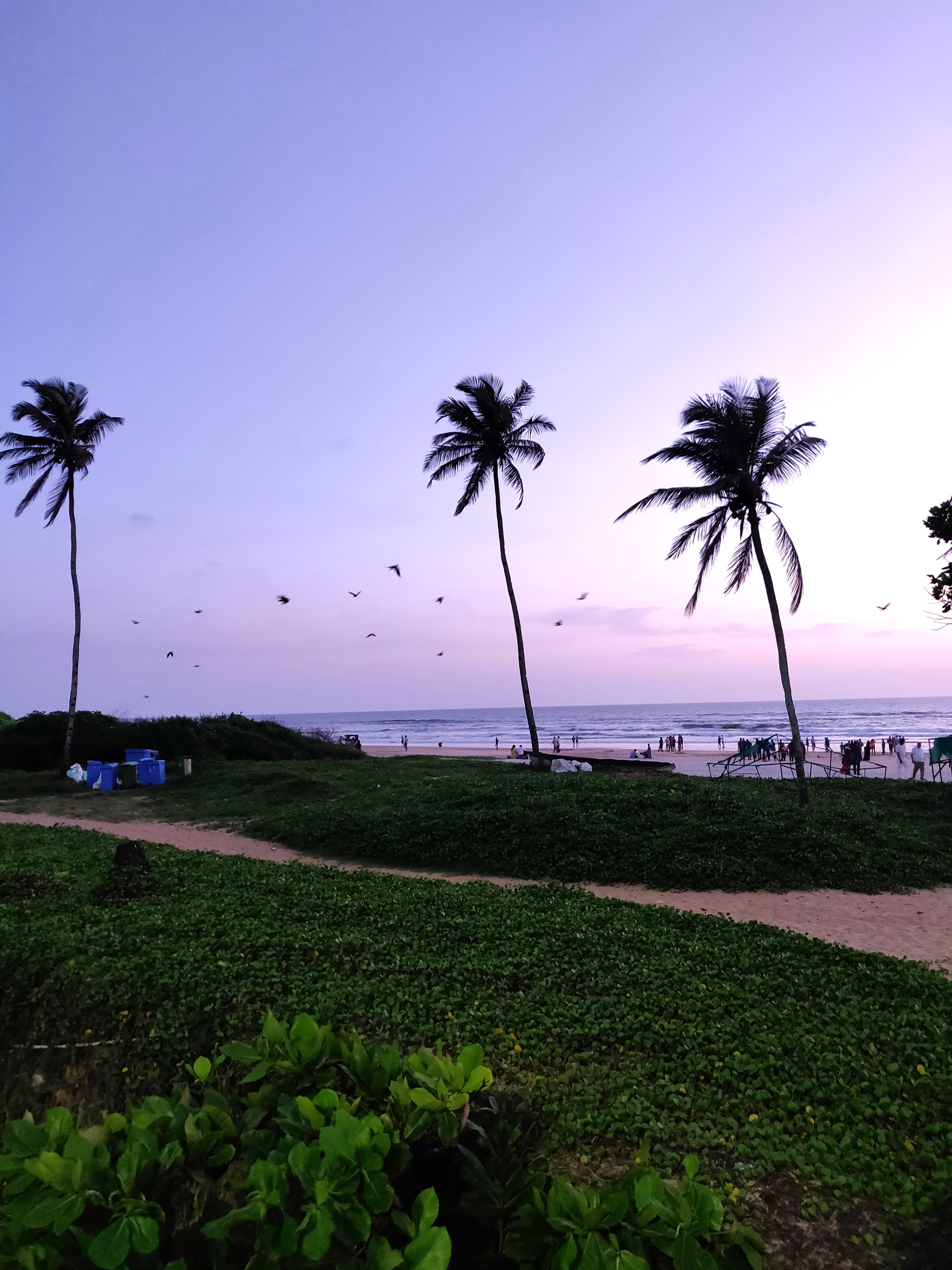 Palm trees leaning over a Goa beach at dusk with people walking by the shore