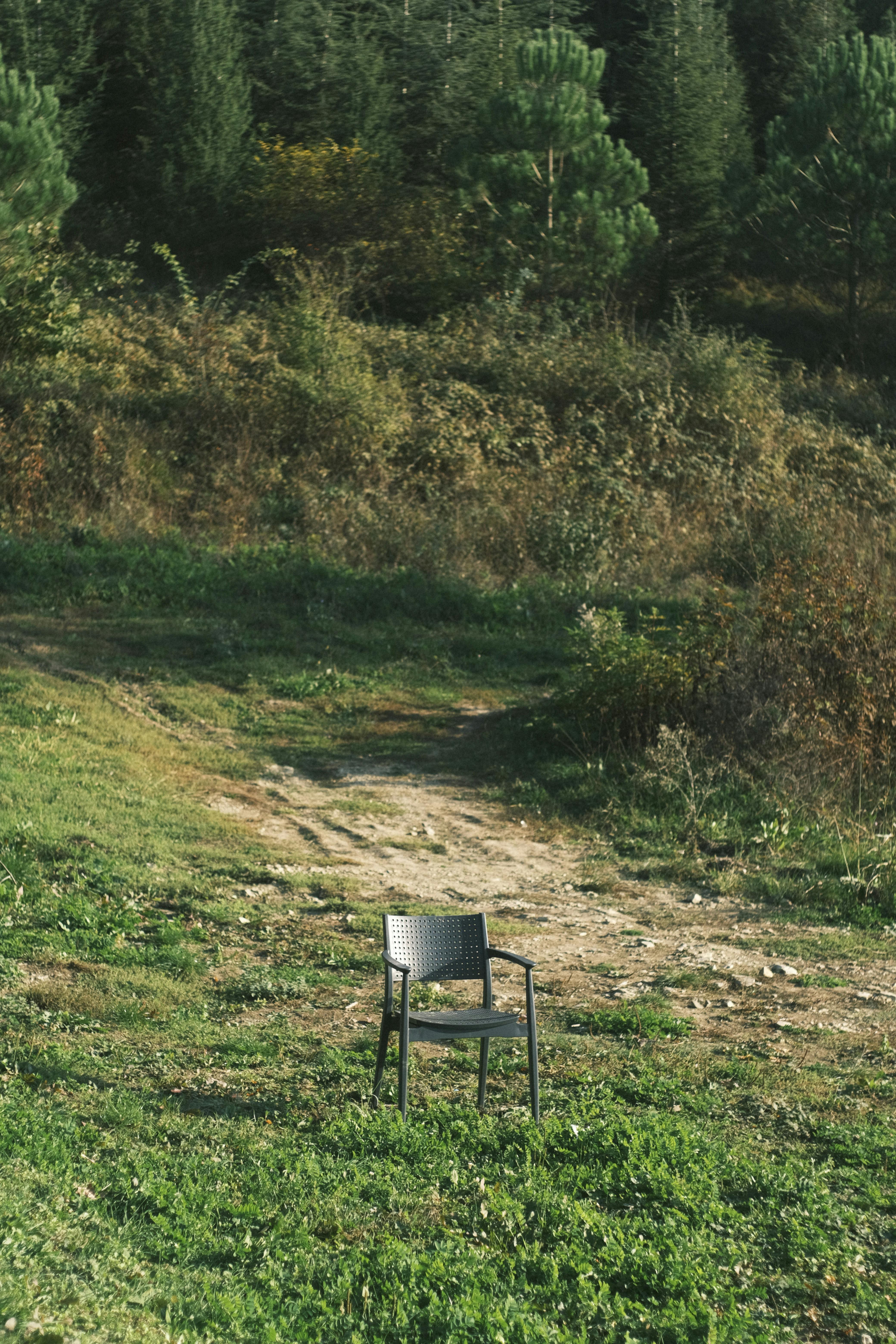 A solitary chair sits in a lush, green landscape surrounded by trees and grass.