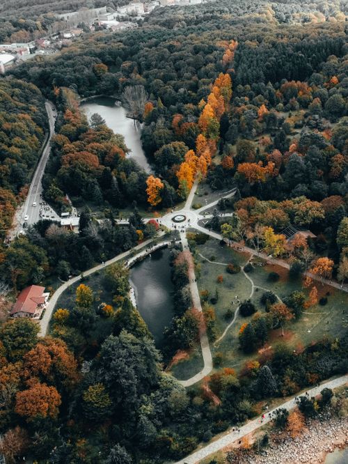 Free Stunning aerial photograph of a park featuring vibrant autumn foliage, a lake, and intersecting pathways. Stock Photo