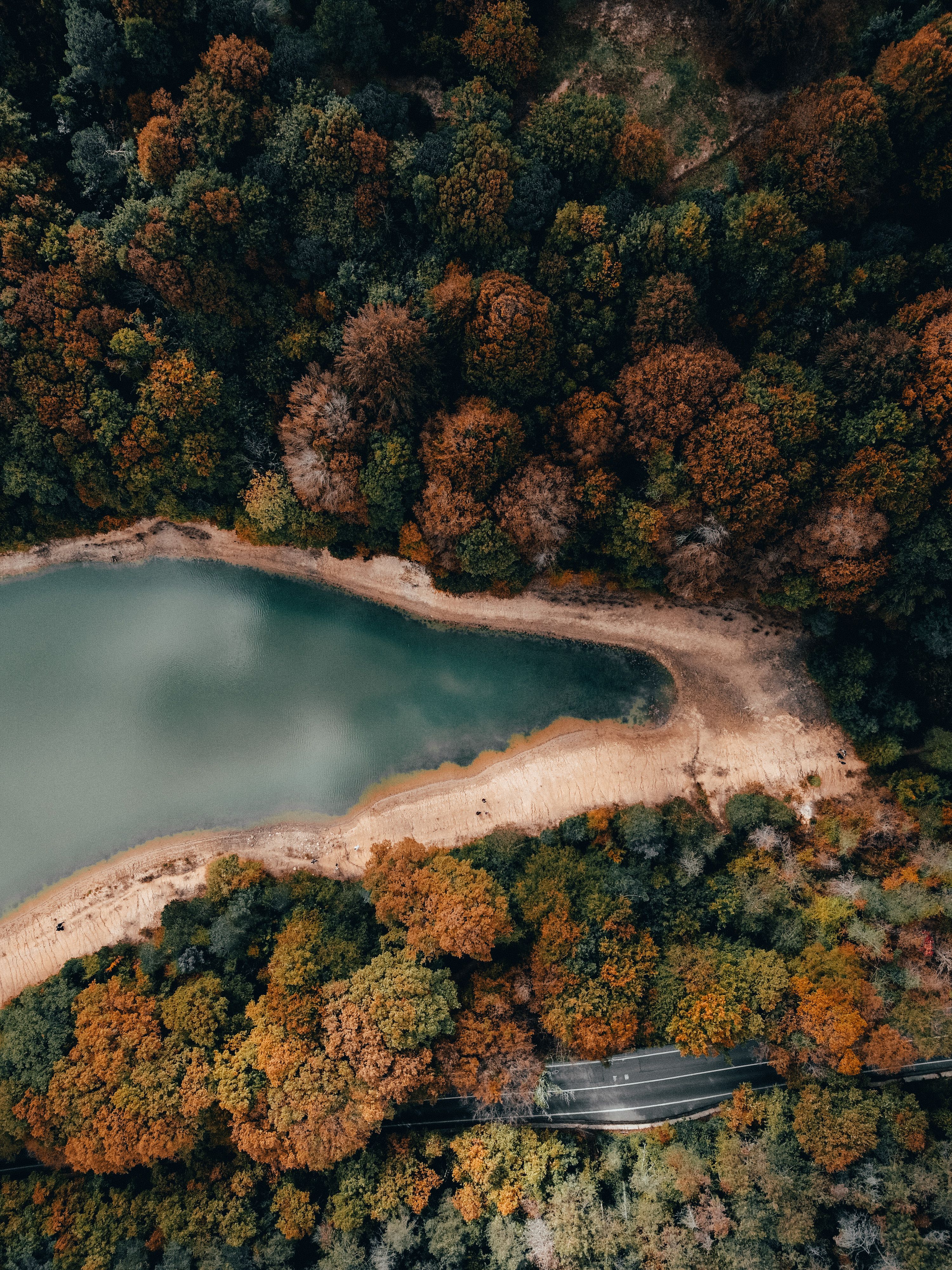 Aerial View of Lake in Autumn Forest · Free Stock Photo