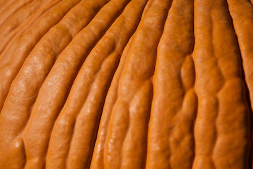 Pumpkin Skin in Close-up Photography