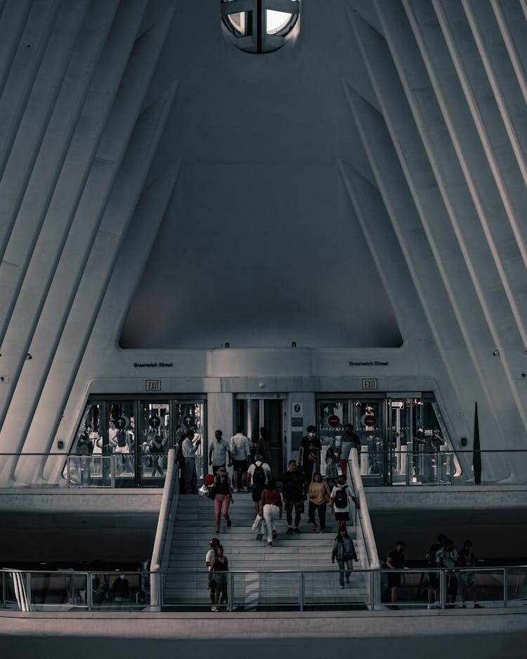 Oculus Interior