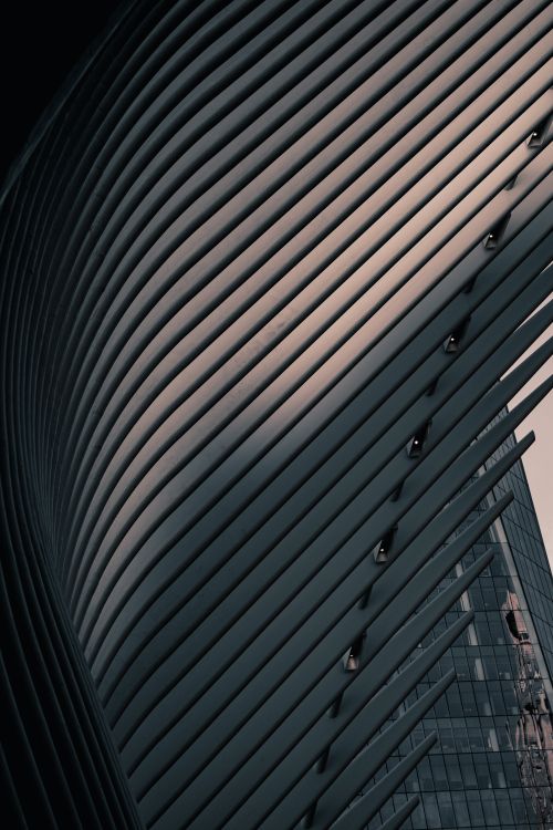 Free Abstract view of the futuristic Oculus in New York City, showcasing modern architectural design. Stock Photo