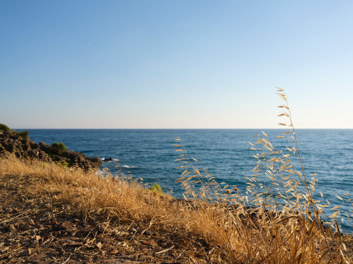 Direkt am Meer: Die besten Ferienwohnungen an der Ostsee mit Meerblick