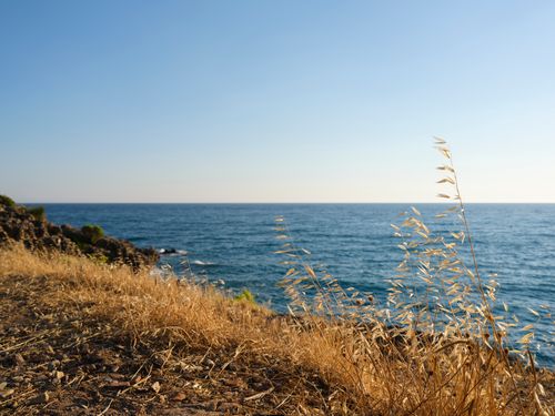 Free A serene coastal view with dried grasses overlooking the blue sea and clear sky. Stock Photo
