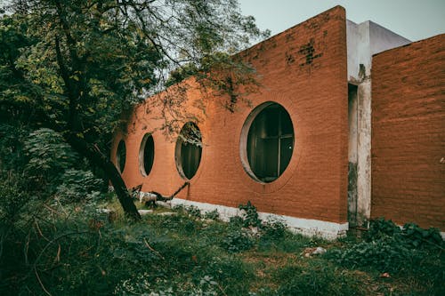 Foto d'estoc gratuïta de arbre, cercles, estructura de formigó