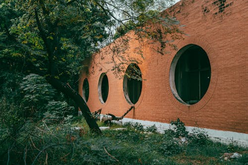 Foto d'estoc gratuïta de arbres, cercles, estructura de formigó