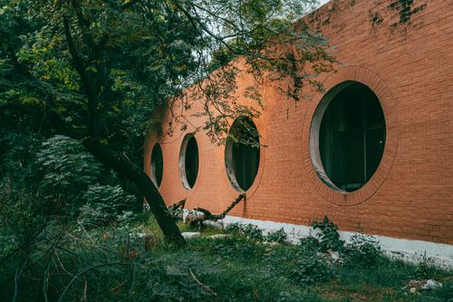 Free A unique architectural design showcasing circular windows on a brick wall amidst lush greenery. Stock Photo