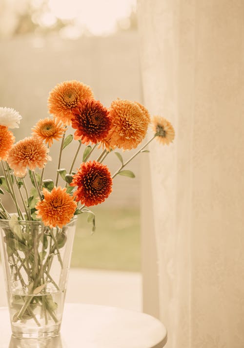 Flower in the Glass Vase on the Coffee Table