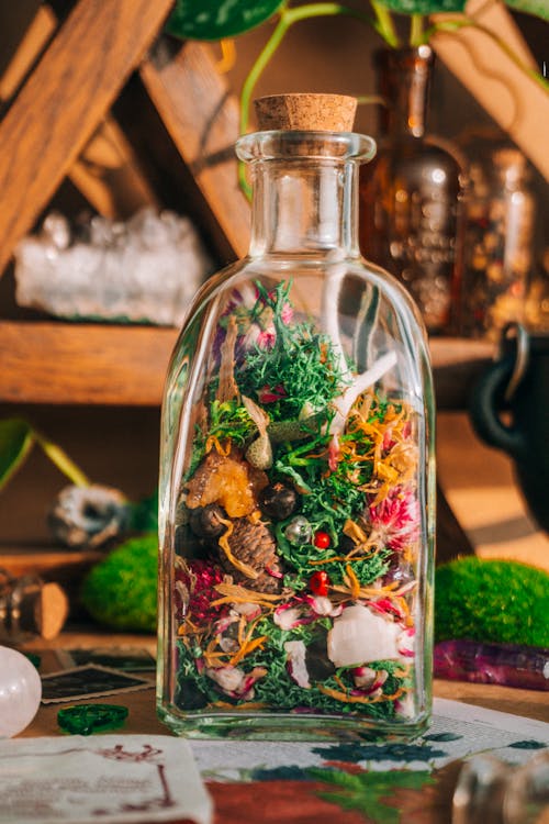 Clear Glass Bottle With Green and Red Dried Plants