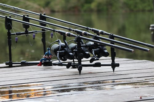 Fishing Rod s on Pier