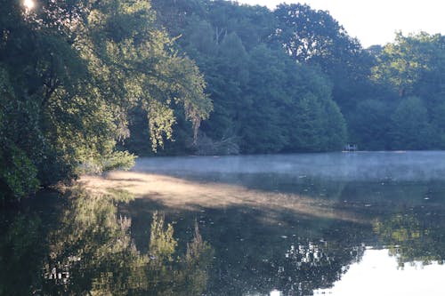 Mist on the water