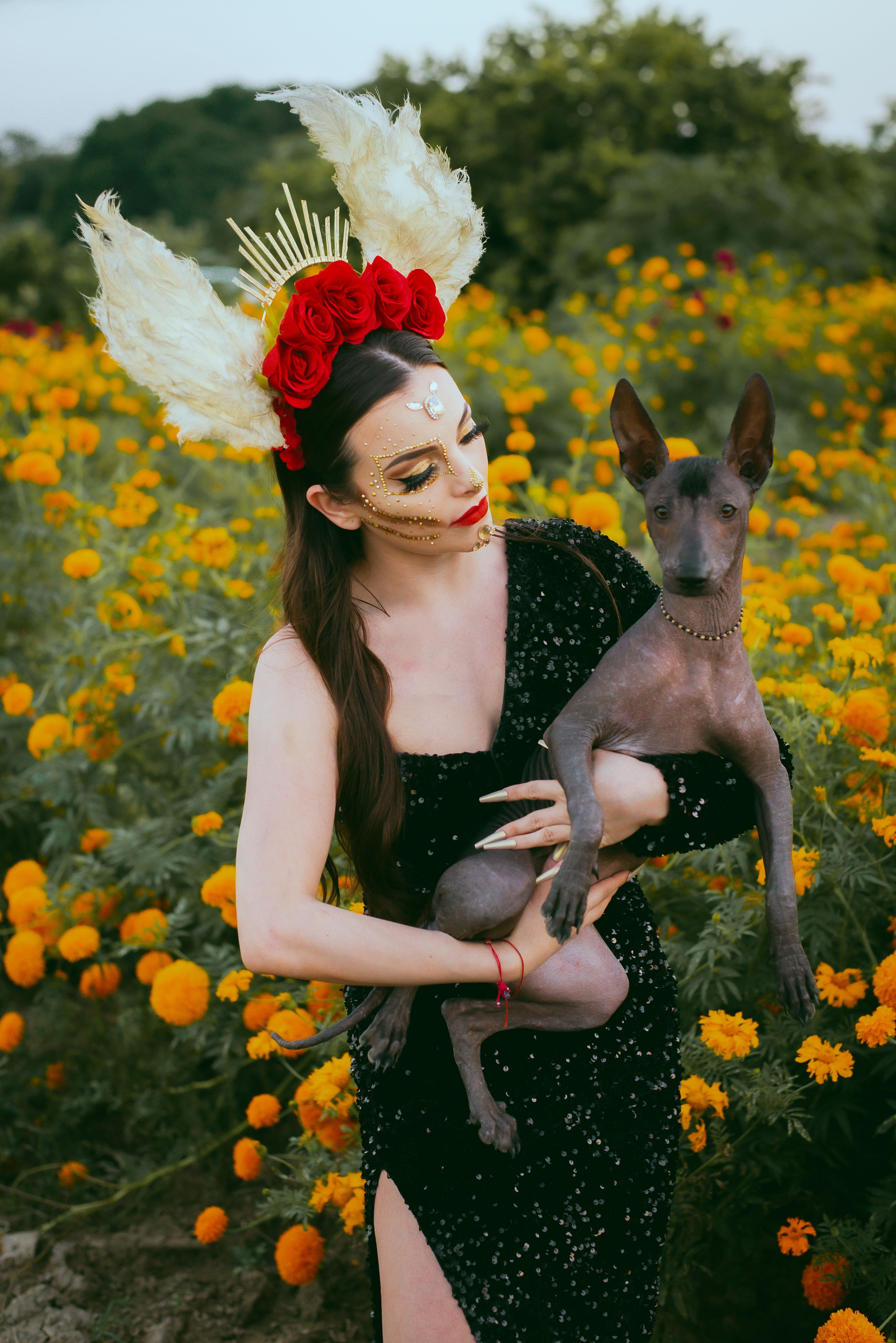 Elegant woman in headdress holds a Xoloitzcuintli amidst vibrant marigold flowers.
