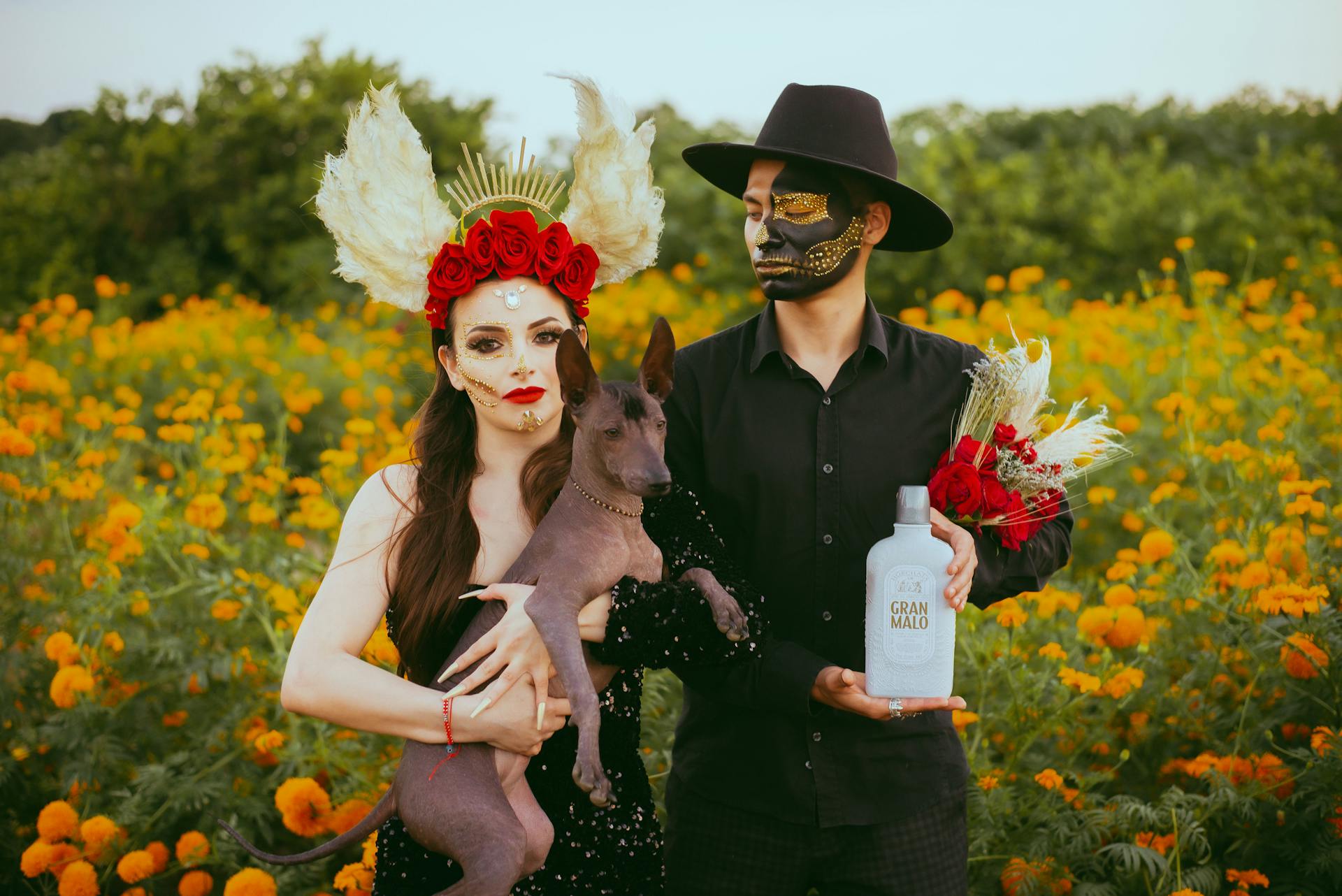 Couple in Halloween Costumes with Dog and Alcohol in Field