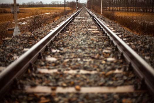 Dramatic perspective of straight railroad tracks amidst a rural setting in autumn.