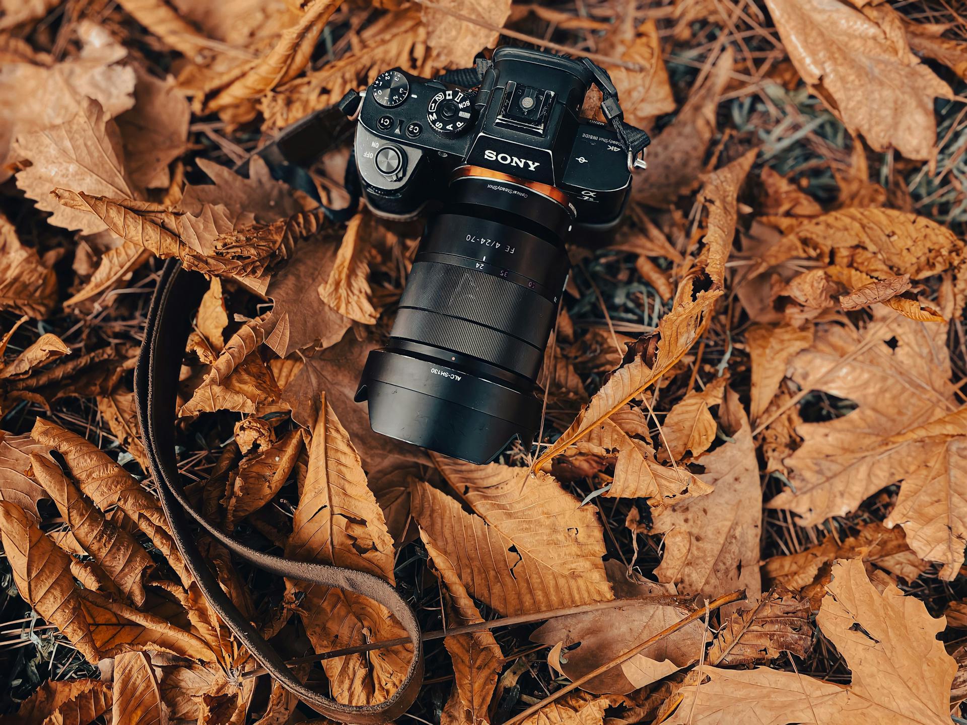 Sony camera placed on dry autumn leaves, highlighting fall photography themes.