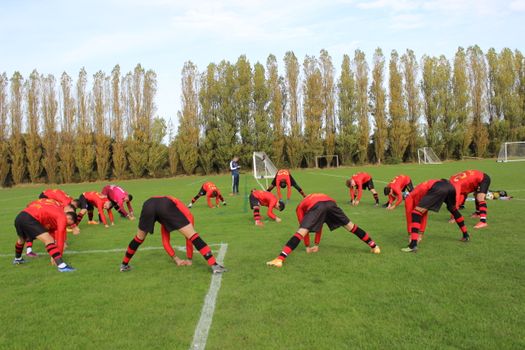 Soccer team stretching on the field before a game on a clear day, preparation for the match.