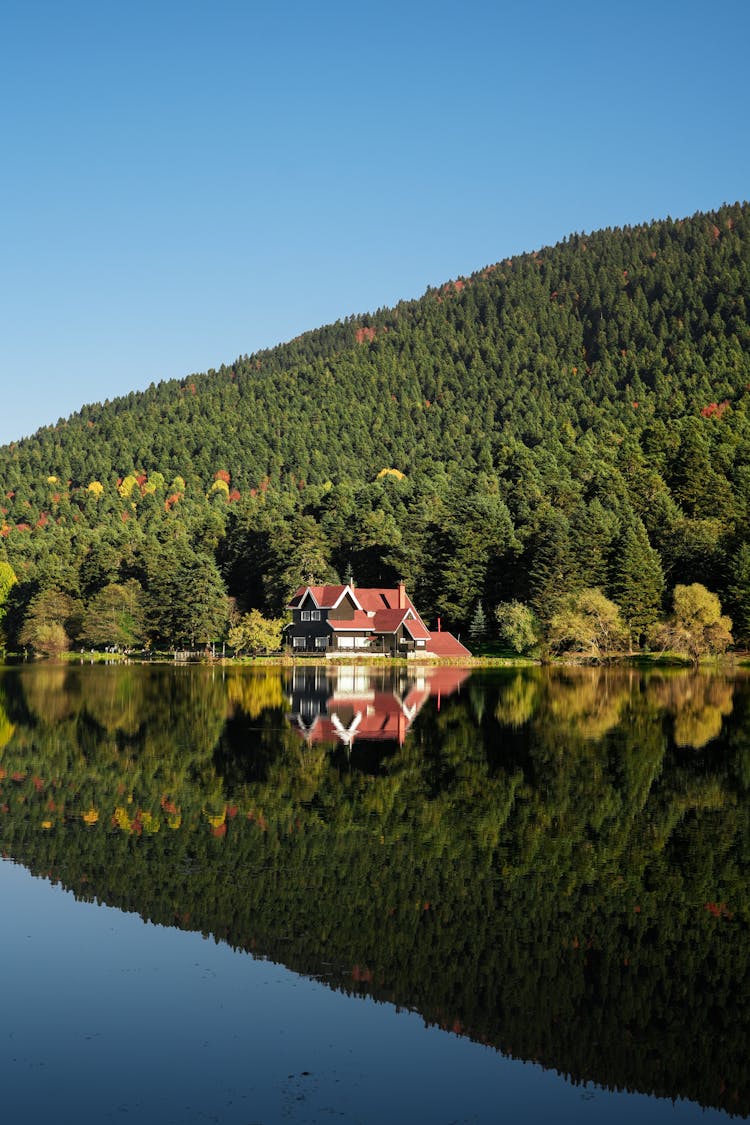 Reflection Of House And Woods In Lake