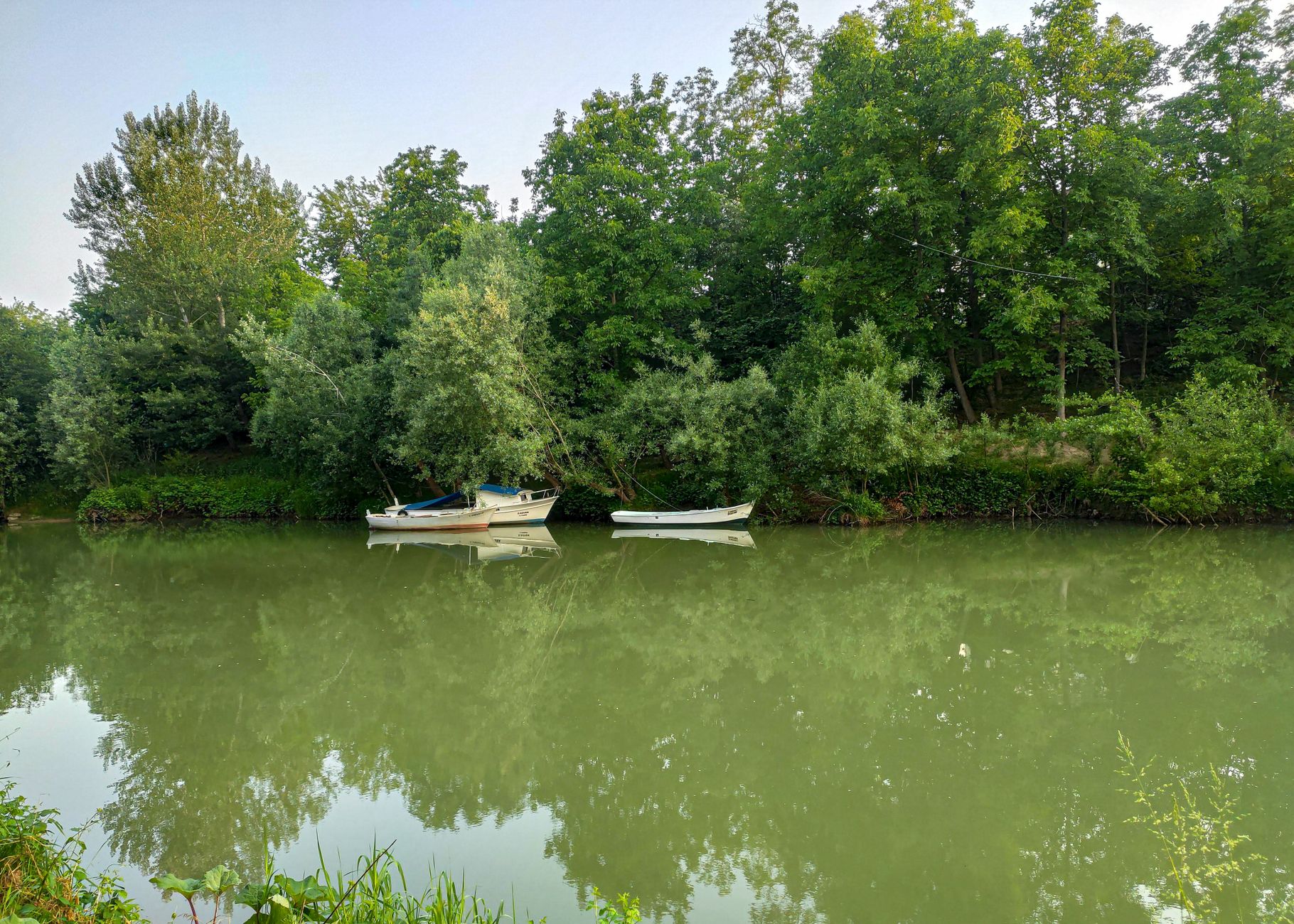 Serene lake with moored boats and lush green trees reflecting in calm water.
