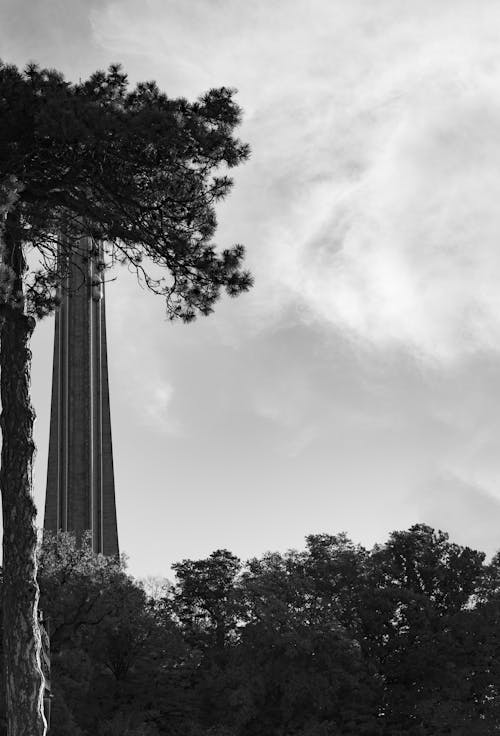 Grayscale Photo of Trees and a Tower