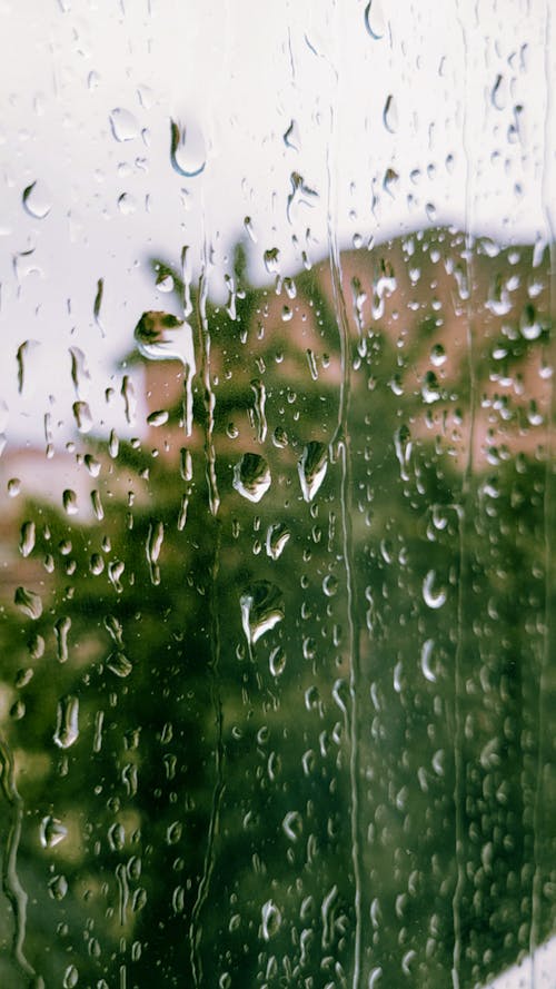 Základová fotografie zdarma na téma detail, skleněné okno, vertikální záběr