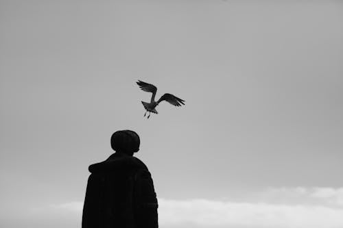 Statue and Seagull Against Sky