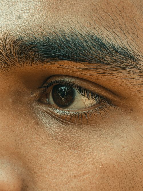 Free Detailed close-up of a human eye highlighting the lash and brow texture. Stock Photo