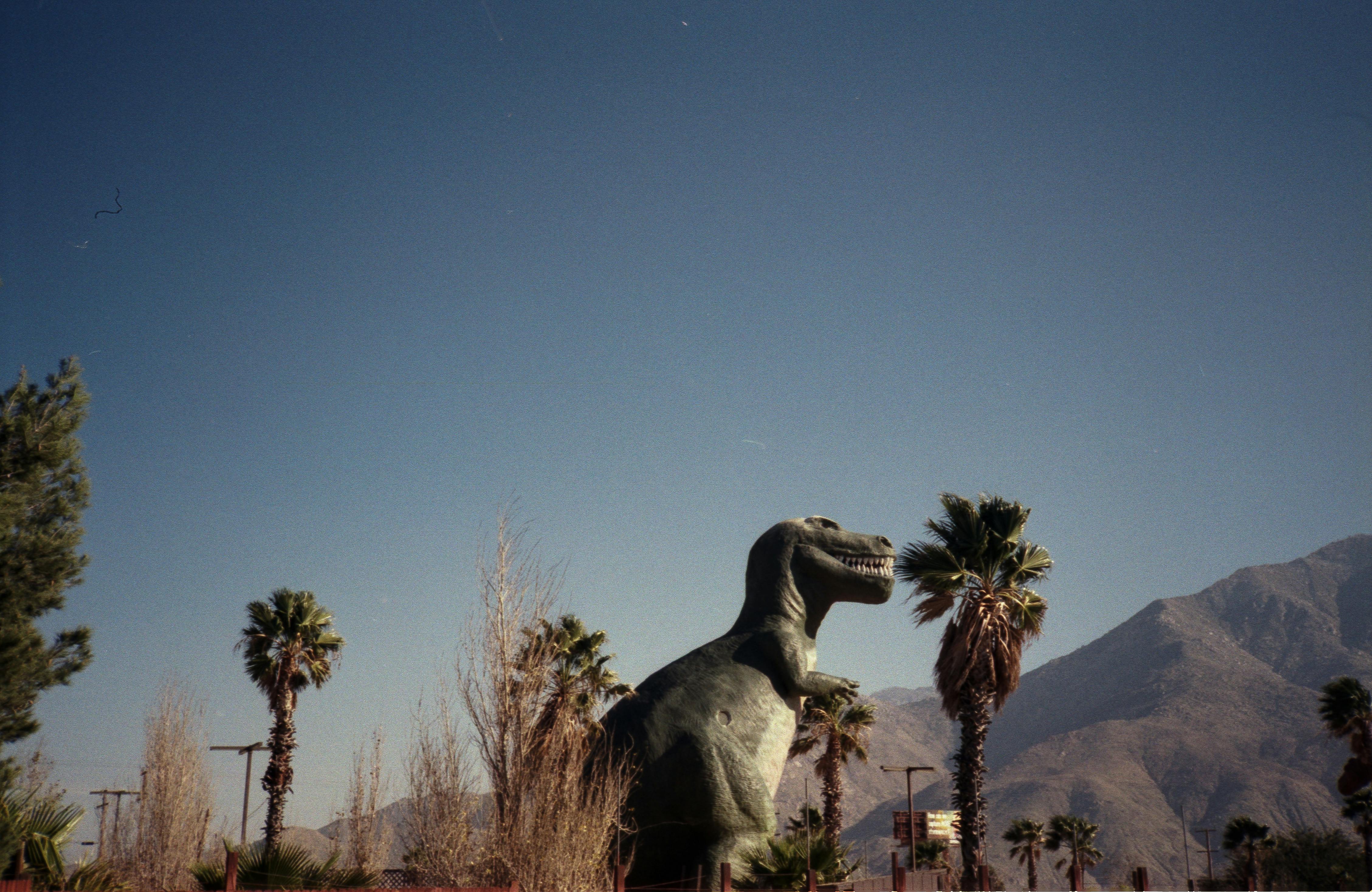 A giant dinosaur statue amidst palm trees and mountains in sunny California.