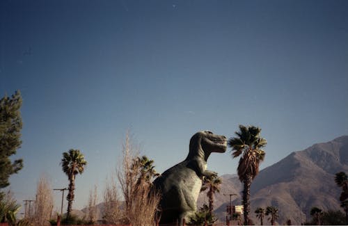 Бесплатное стоковое фото с голубое небо, динозавр, кабазон