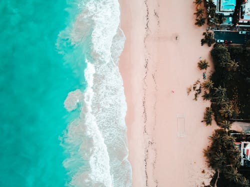 An Aerial Photography of a Beach