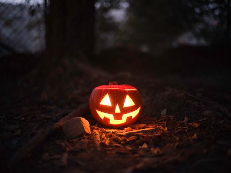 Glowing jack-o'-lantern in a spooky outdoor setting, perfect for Halloween themes.