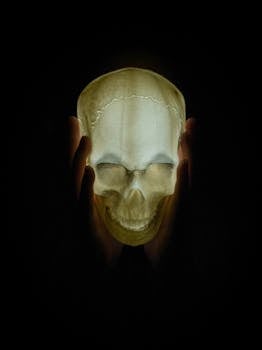 Illuminated skull held by hands, perfect for Halloween decor or spooky themes.