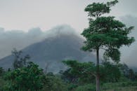 郁郁葱葱的风景中，有一座突出的火山和茂密的绿色植物