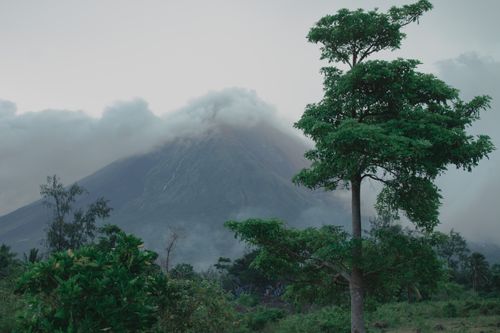 Free Misty view of a verdant landscape with a prominent volcano and lush greenery. Stock Photo