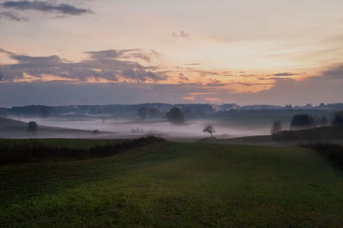 Ingyenes stockfotó drónfelvétel, festői, füves terület témában