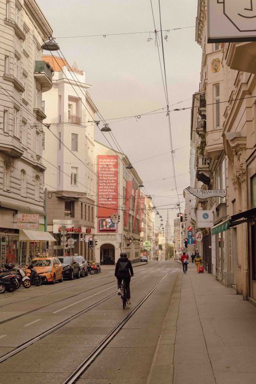 Free A lone cyclist navigates the tranquil streets of Vienna, Austria, capturing urban charm. Stock Photo
