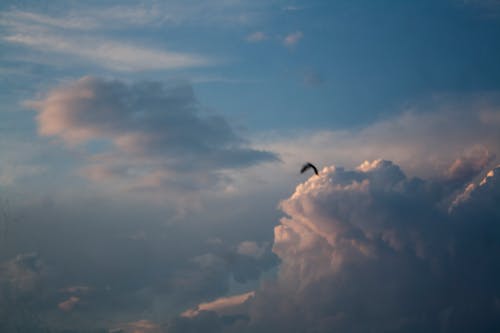 Základová fotografie zdarma na téma fotka, modrá, mrak