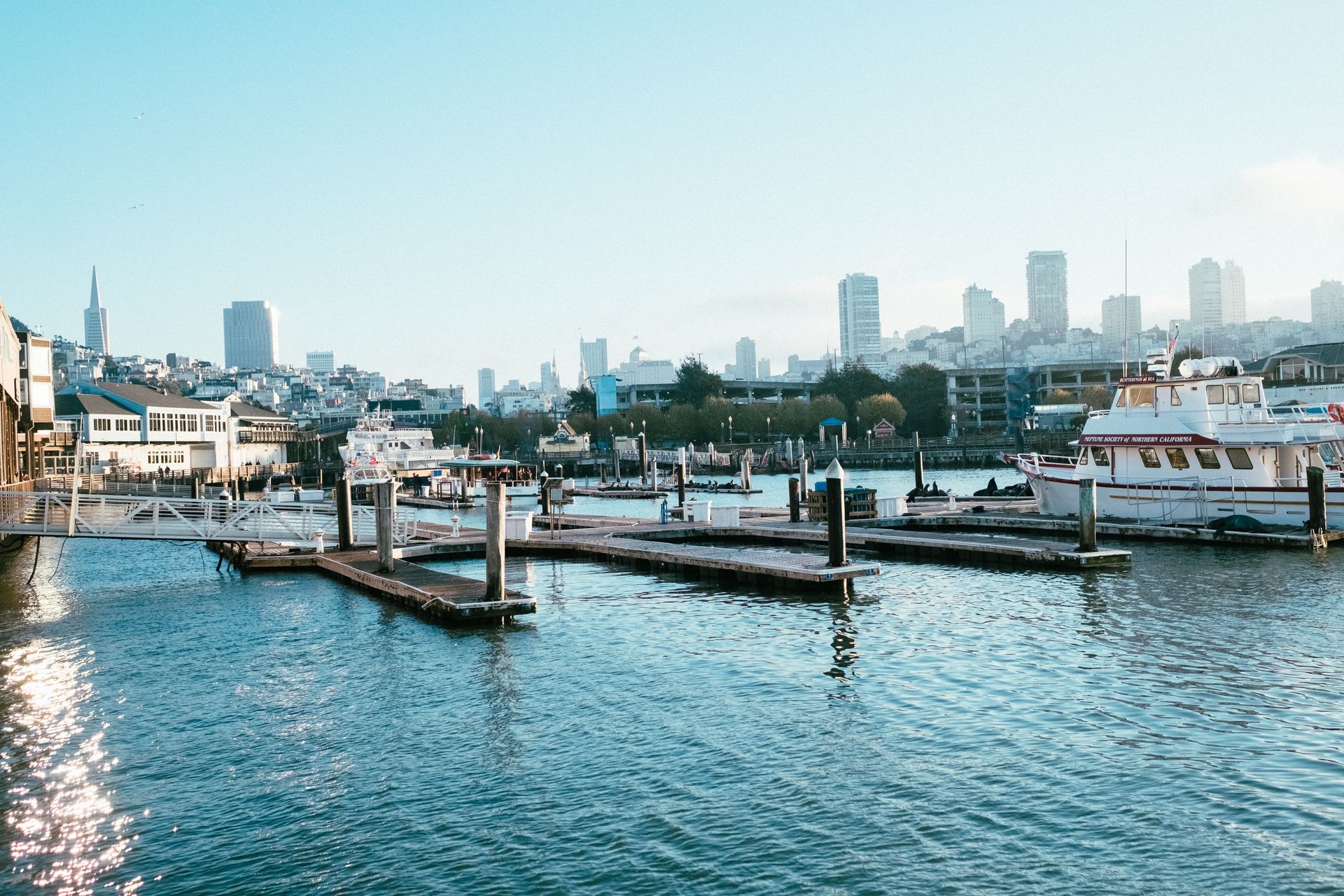San Francisco waterfront with iconic skyline, moored boats, and bay waters in daylight