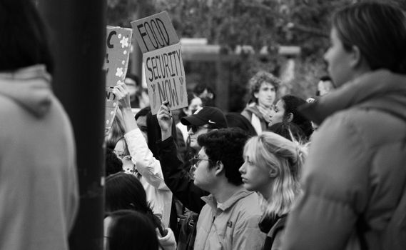 British austerity: citizen sacrifice served investor stability preferences