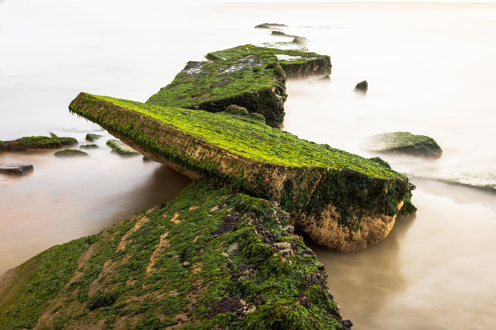 Coastal Rock Formations Covered in Algae