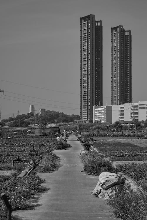 Бесплатное стоковое фото с бетонное покрытие, вертикальный выстрел, высотные здания