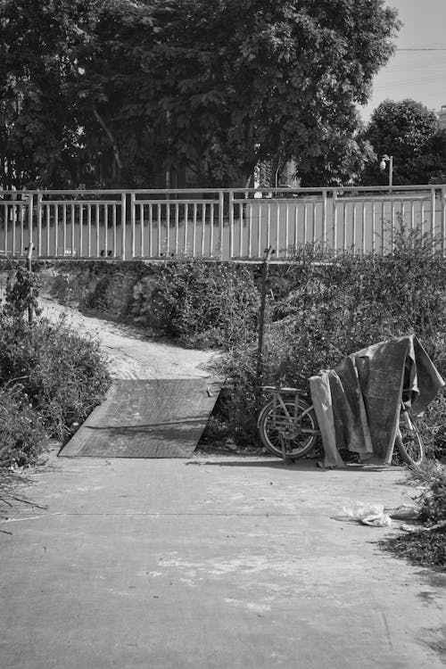 Grayscale Photo of a Bicycle on a Pathway
