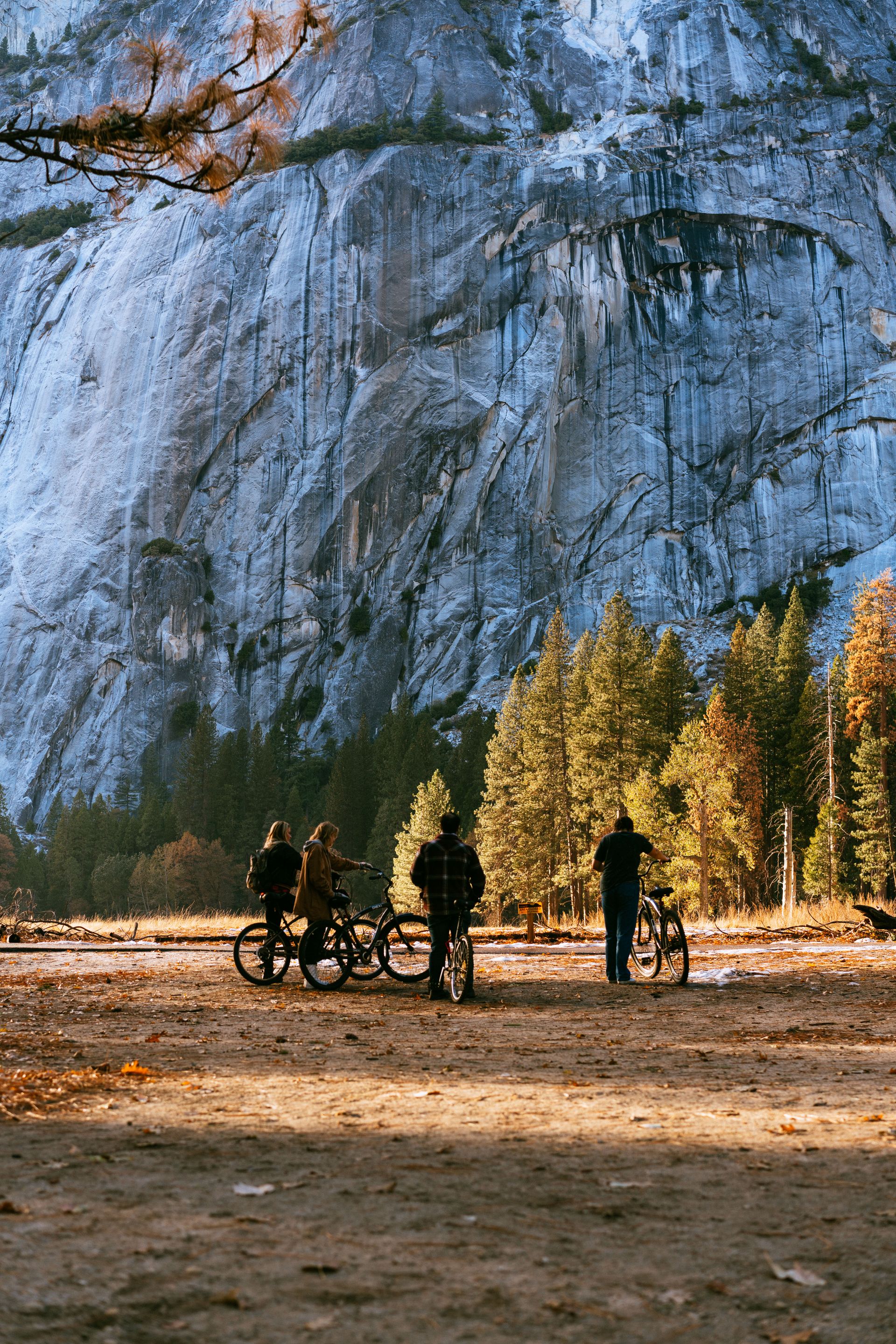 A group of friends riding bicycles together outdoors