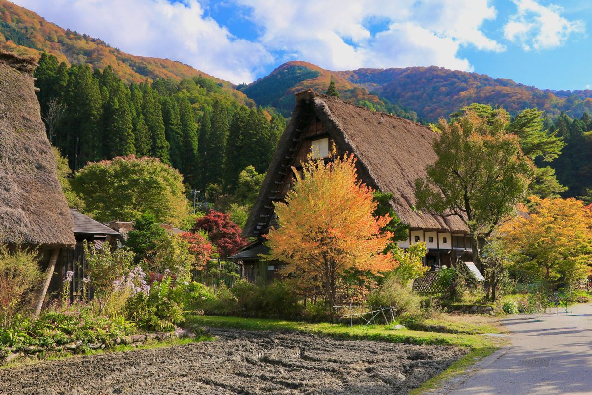 Traditional gassho-zukuri farmhouses in autumn mountain landscape — Shirakawa-go, UNESCO World Heritage, Gifu Prefecture