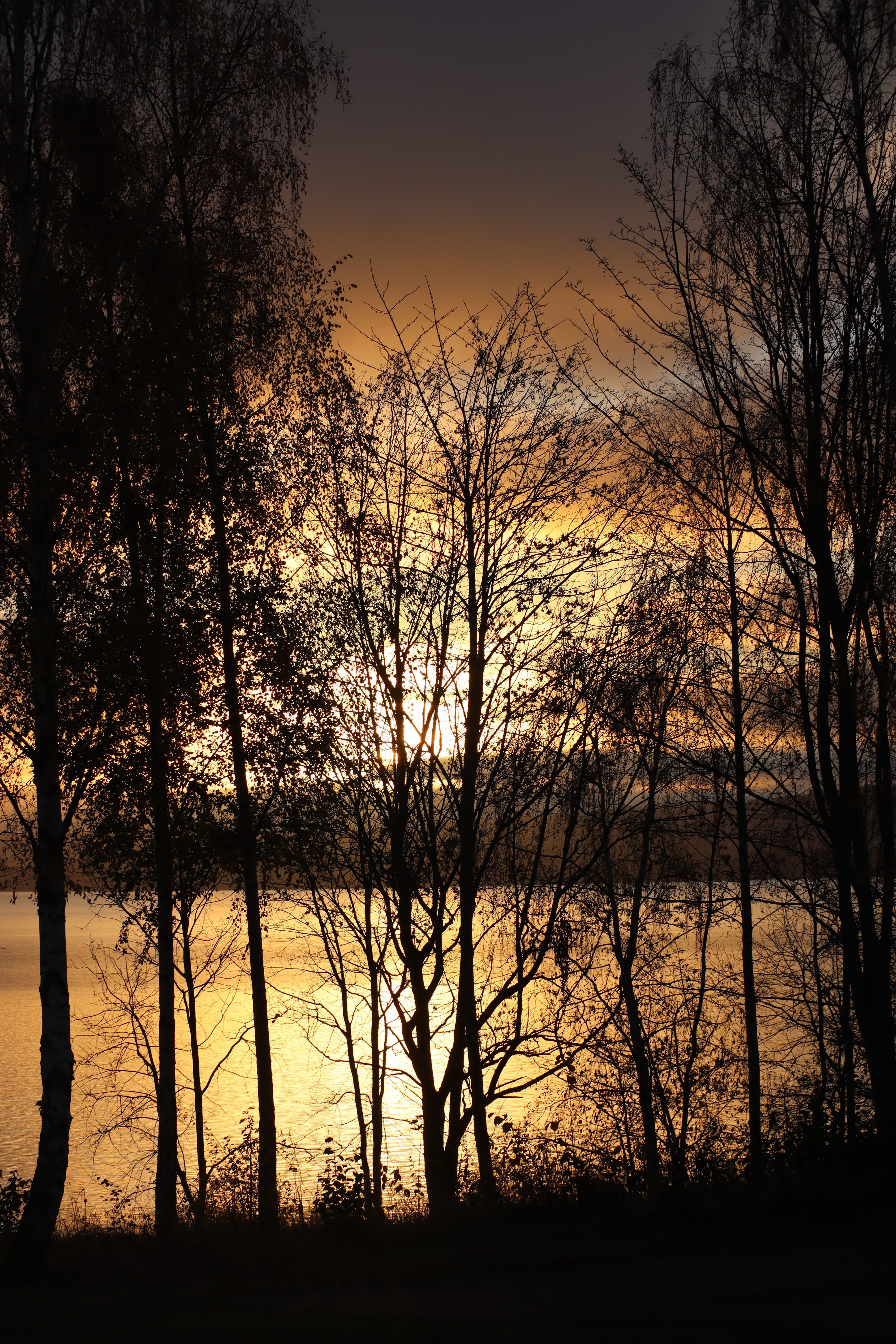 Autumn Sunset Photos, Download The BEST Free Autumn Sunset Stock
