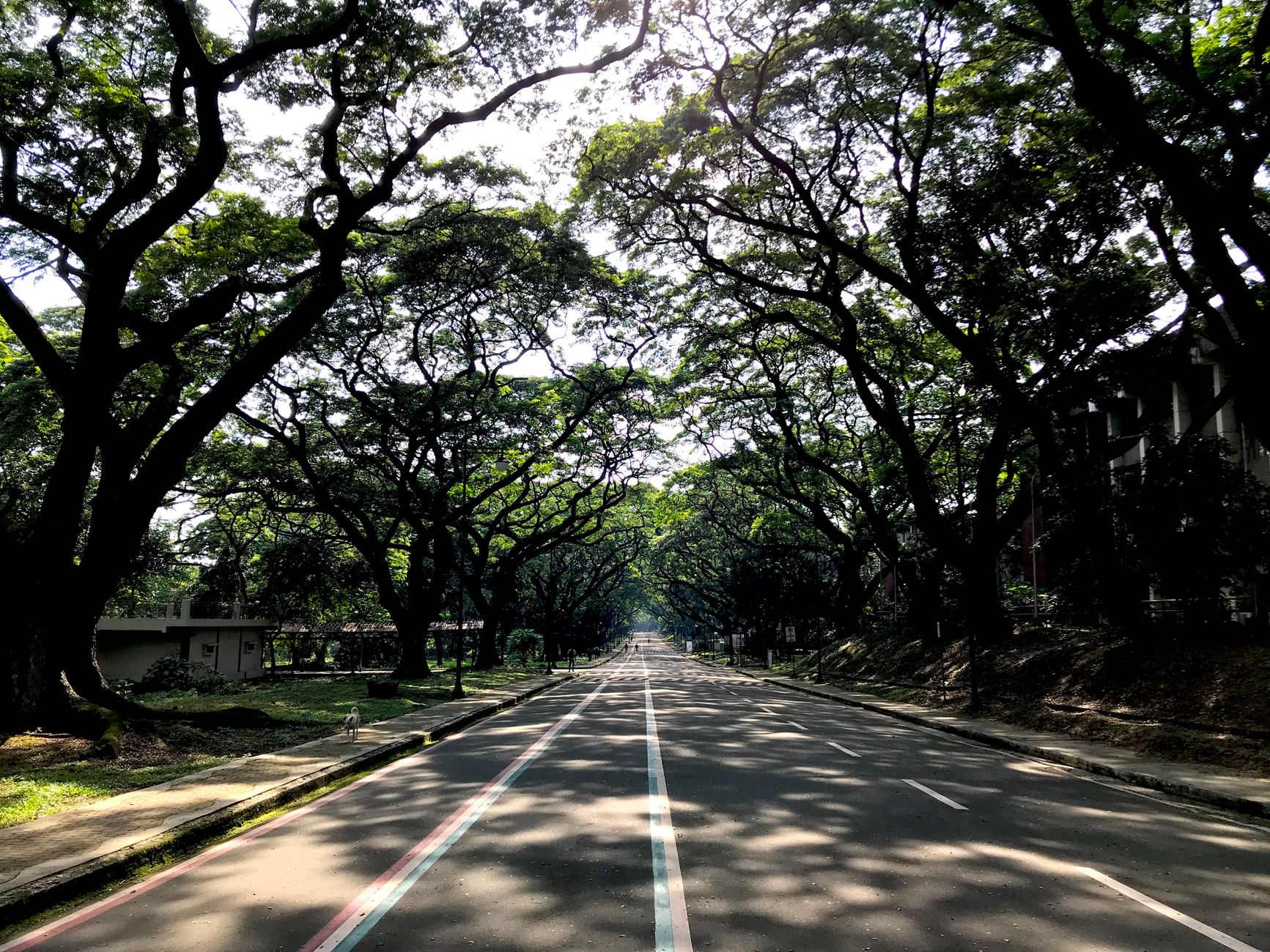 Quezon — Street, Quezon
