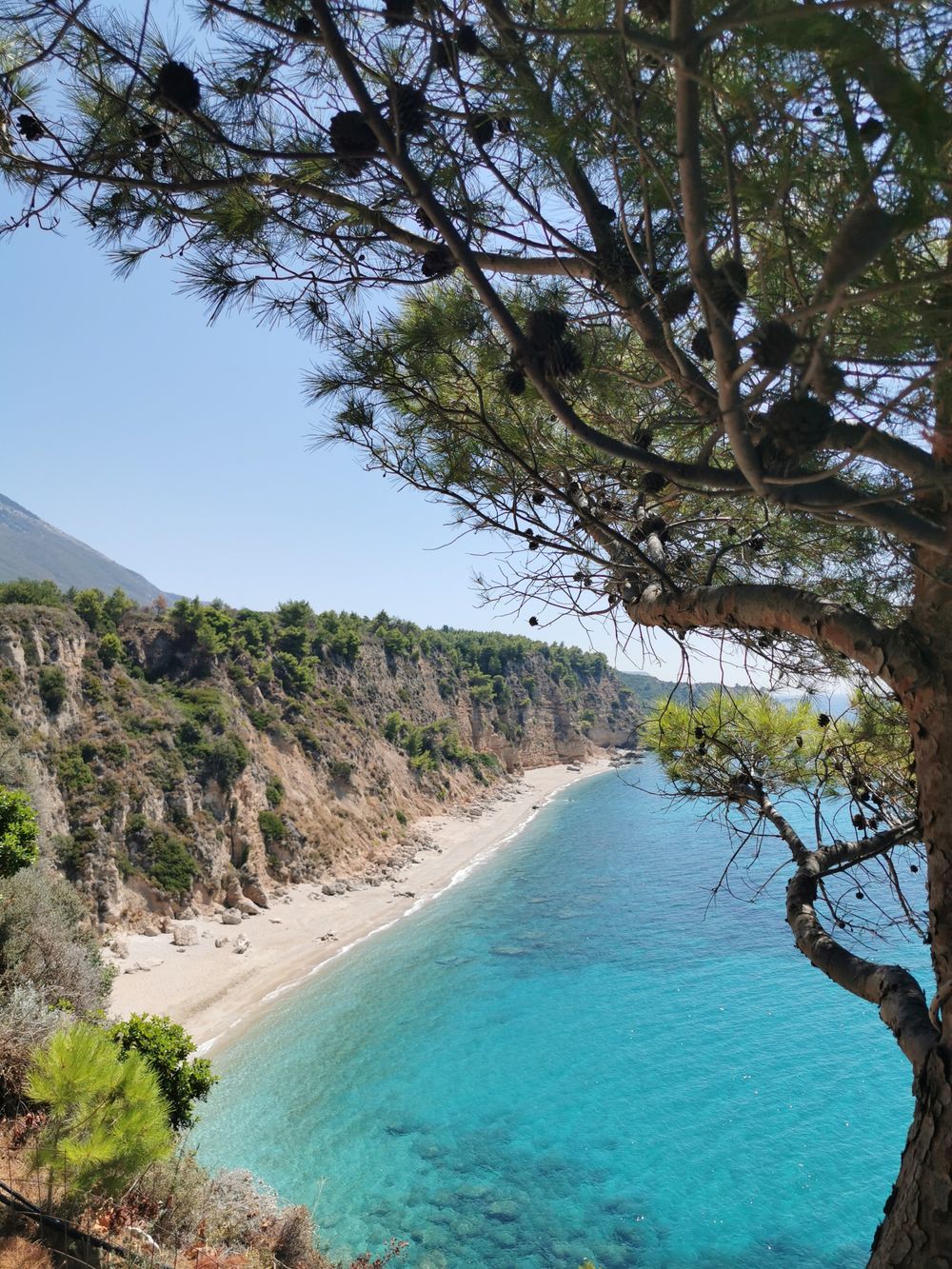 Golf ionian cu apă turcoaz, mărginit de pini, în Kefalonia