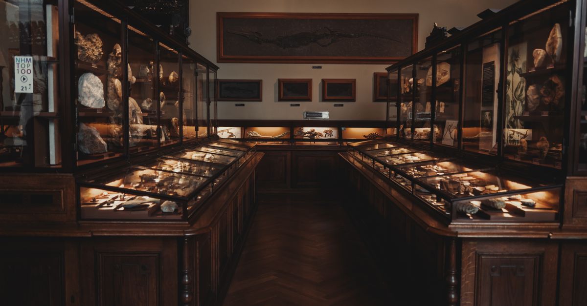 Les mystères des objets anciens : comment révéler leur histoire