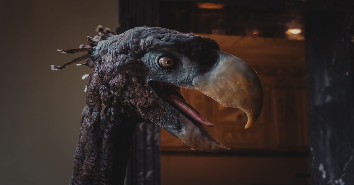 Detailed view of a fossil bird sculpture displayed indoors at a museum in Vienna.
