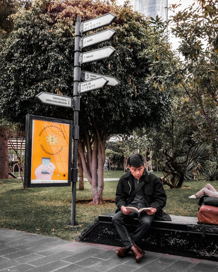 Man Sitting On Park Bench And Reading